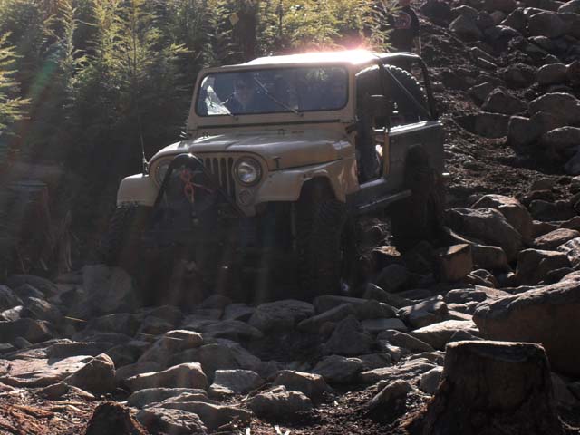 SDC11349