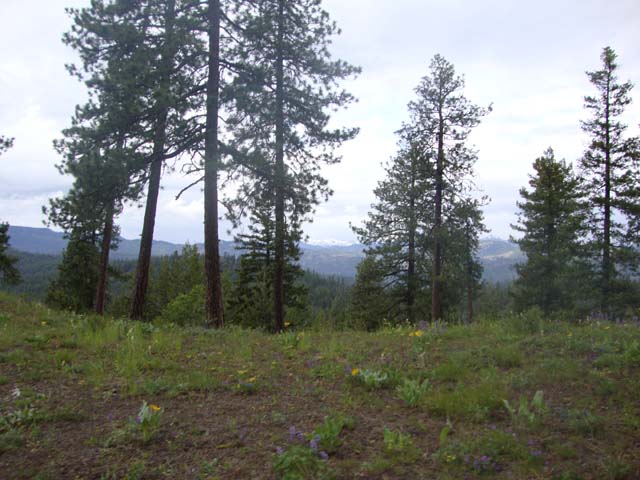 DSC03569
