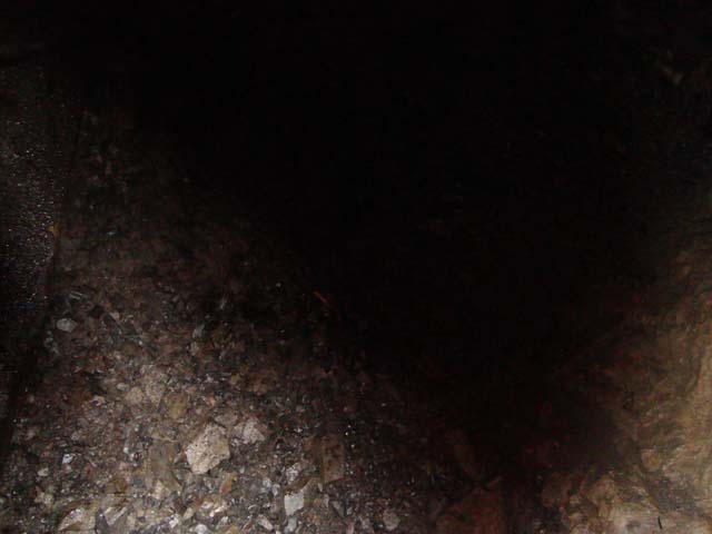 DSC03584