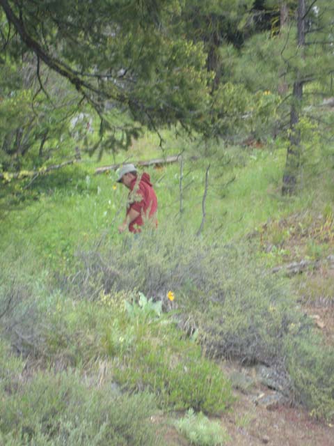 DSC03590