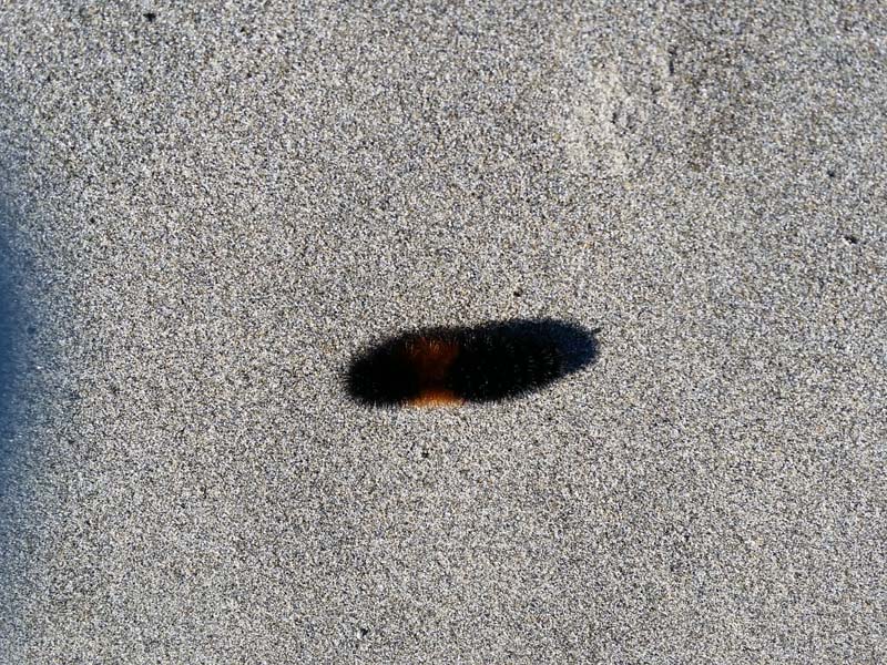 20140920_110710
