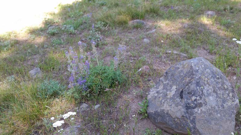 20180705_095227
