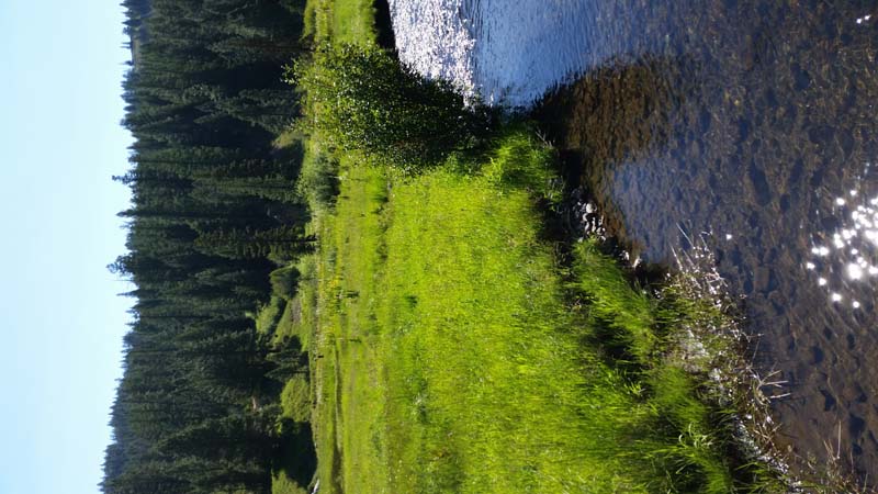20180705_100527