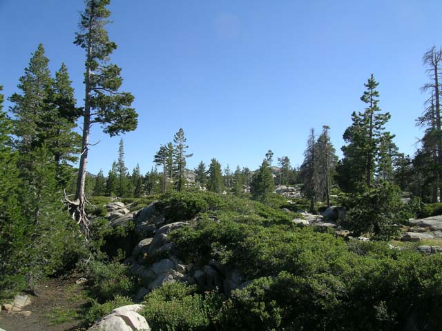 DSCN0495