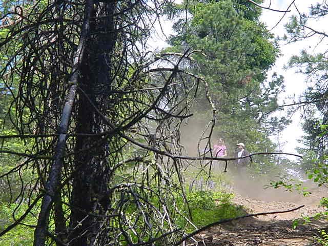 DSC00008
