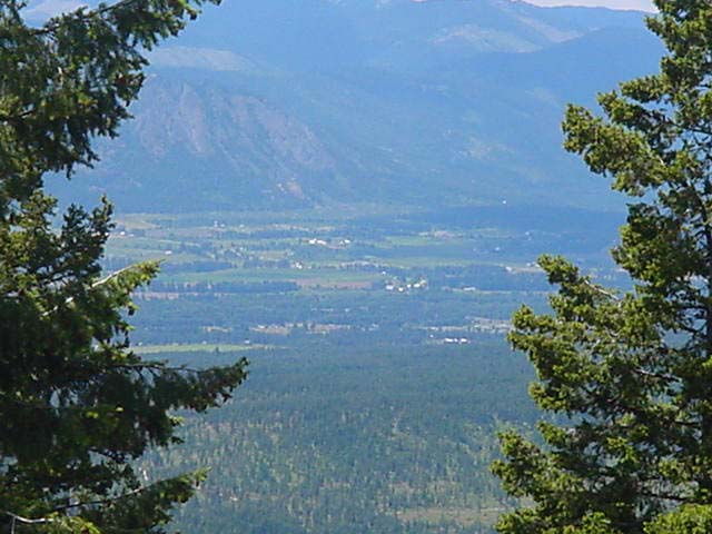 DSC00024