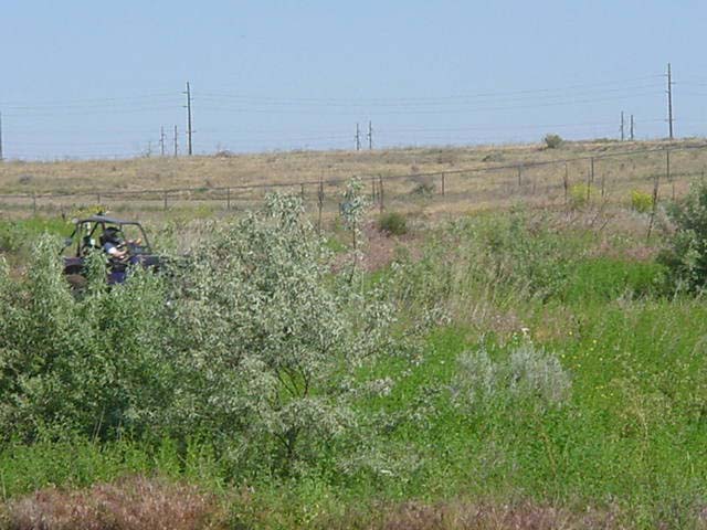 DSC00020