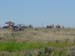 DSC00017