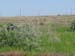 DSC00020