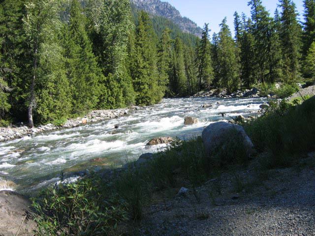 IMG_3420
