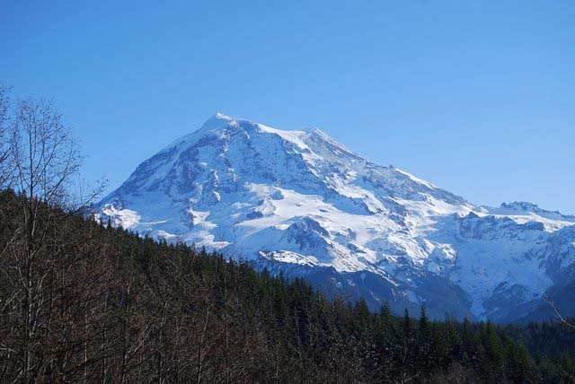 DSC_0029
