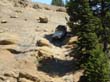 Trailjam