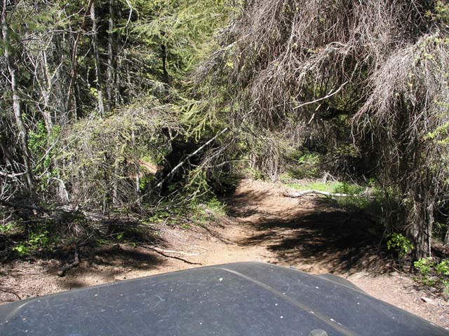 P1010202