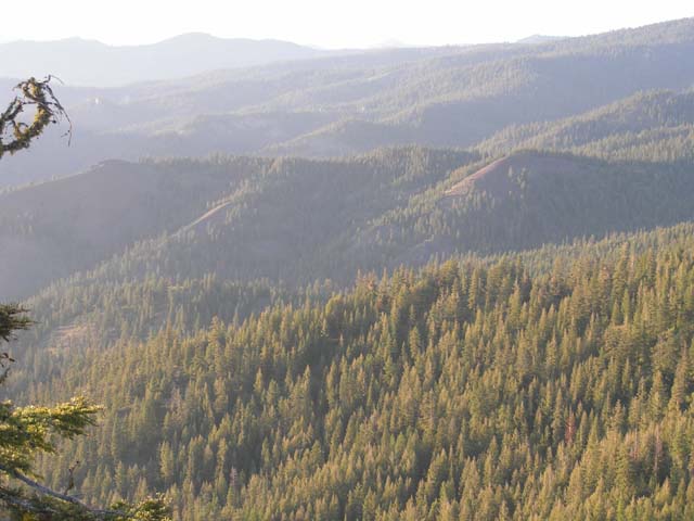 P1010241