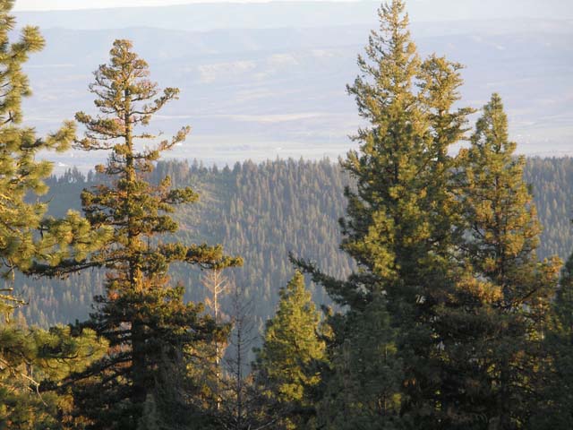 P1010246