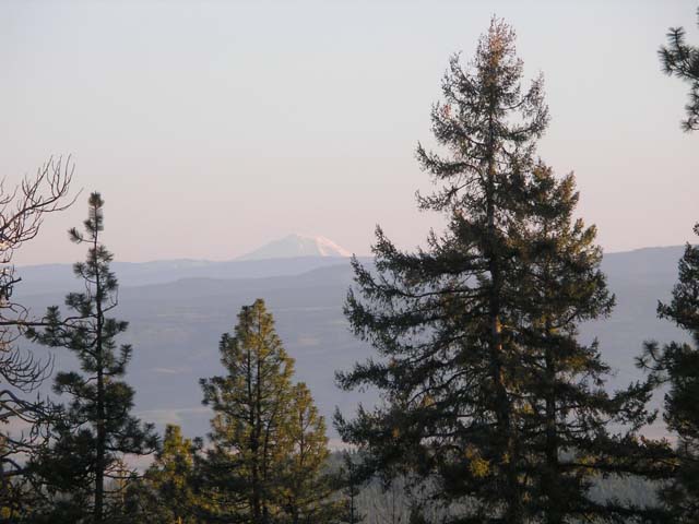 P1010247