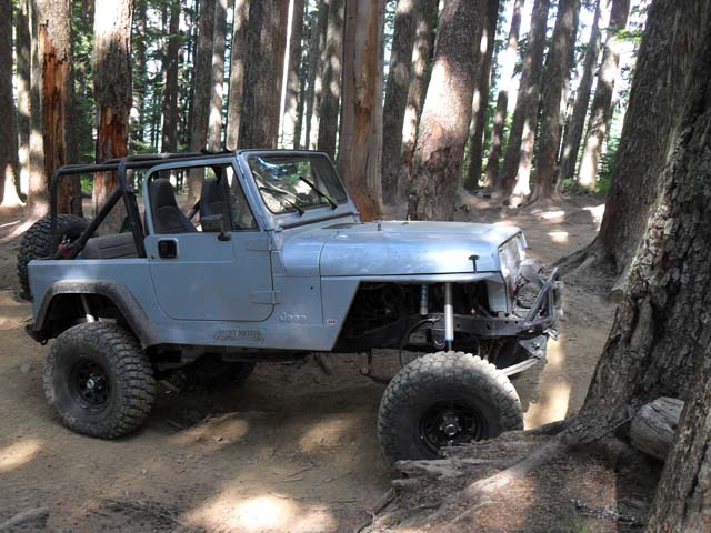 SDC10974