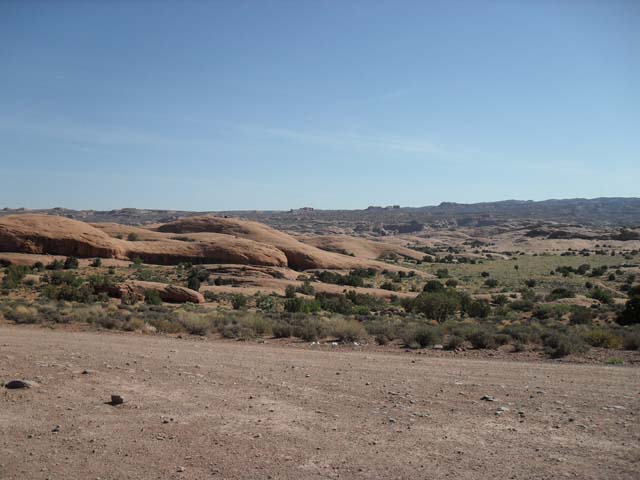 SDC10088
