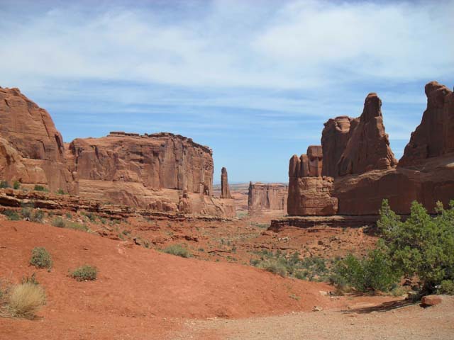 SDC10353