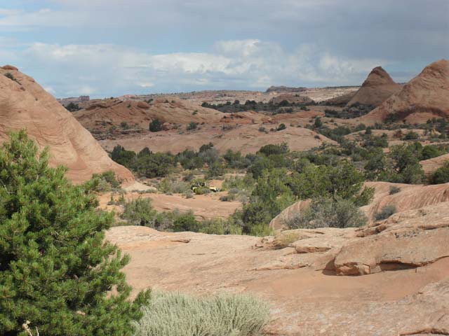 SDC11958