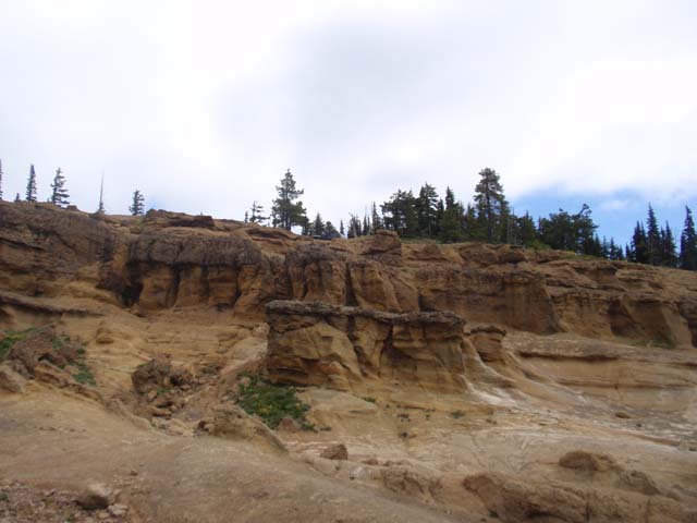 P7080239