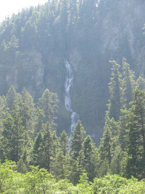 IMG_3335
